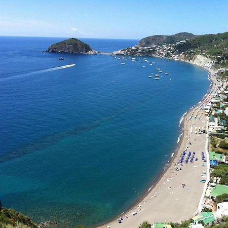 Il Pino “Villa Nunzia” Ischia Exterior foto