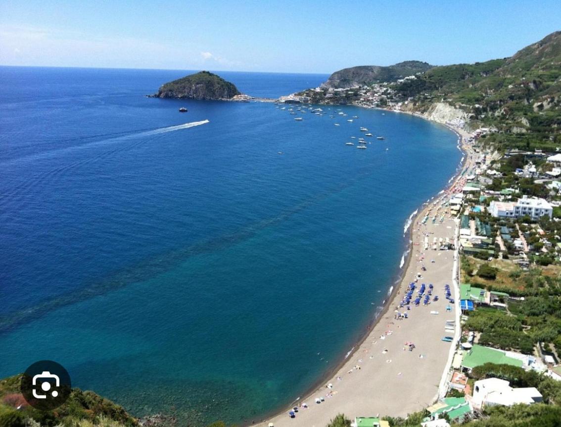 Il Pino “Villa Nunzia” Ischia Exterior foto